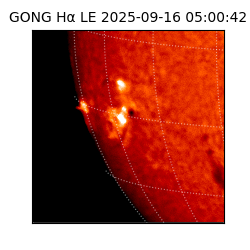 gong - 2025-09-16T05:00:42