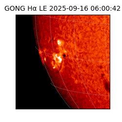 gong - 2025-09-16T06:00:42