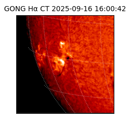 gong - 2025-09-16T16:00:42