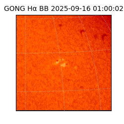 gong - 2025-09-16T01:00:02