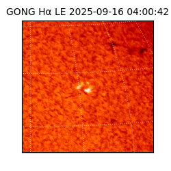 gong - 2025-09-16T04:00:42