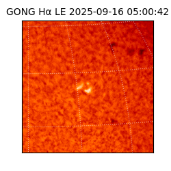 gong - 2025-09-16T05:00:42