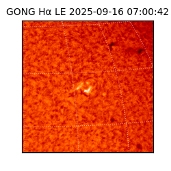 gong - 2025-09-16T07:00:42