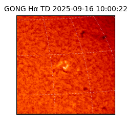 gong - 2025-09-16T10:00:22