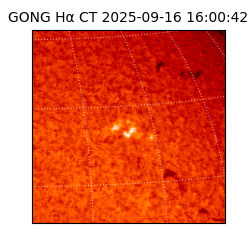 gong - 2025-09-16T16:00:42