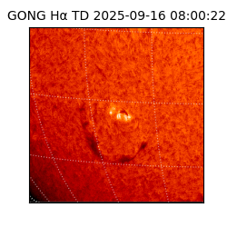 gong - 2025-09-16T08:00:22