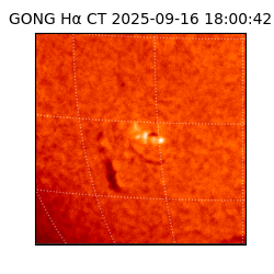 gong - 2025-09-16T18:00:42