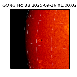 gong - 2025-09-16T01:00:02
