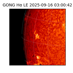 gong - 2025-09-16T03:00:42