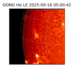 gong - 2025-09-16T05:00:42