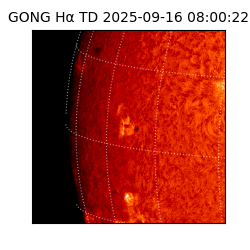 gong - 2025-09-16T08:00:22