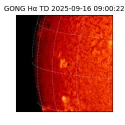 gong - 2025-09-16T09:00:22