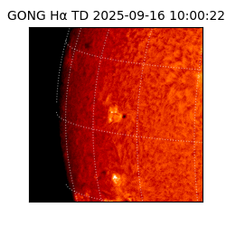 gong - 2025-09-16T10:00:22