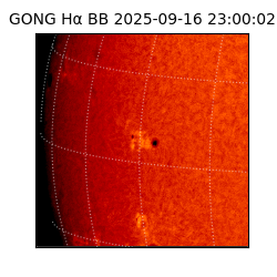 gong - 2025-09-16T23:00:02