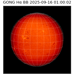 gong - 2025-09-16T01:00:02