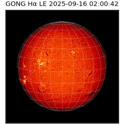 gong - 2025-09-16T02:00:42