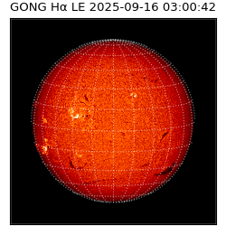 gong - 2025-09-16T03:00:42