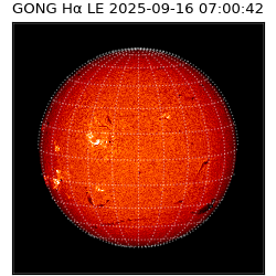 gong - 2025-09-16T07:00:42