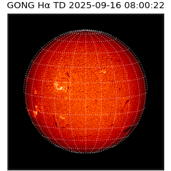 gong - 2025-09-16T08:00:22