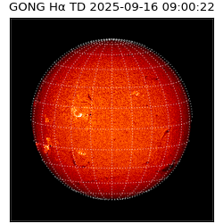 gong - 2025-09-16T09:00:22