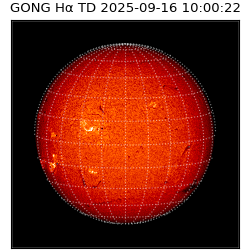 gong - 2025-09-16T10:00:22