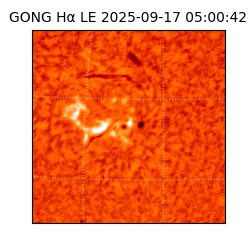 gong - 2025-09-17T05:00:42