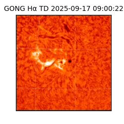 gong - 2025-09-17T09:00:22