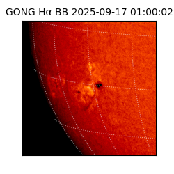 gong - 2025-09-17T01:00:02
