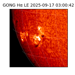 gong - 2025-09-17T03:00:42