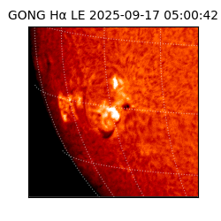 gong - 2025-09-17T05:00:42