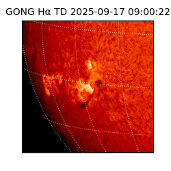 gong - 2025-09-17T09:00:22