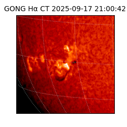 gong - 2025-09-17T21:00:42