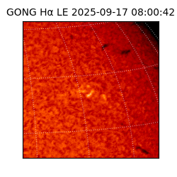 gong - 2025-09-17T08:00:42