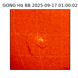 gong - 2025-09-17T01:00:02