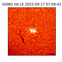 gong - 2025-09-17T07:00:42