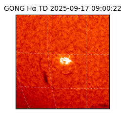 gong - 2025-09-17T09:00:22