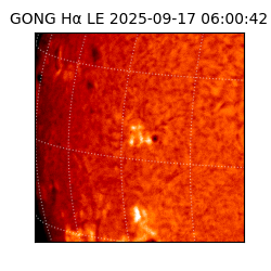 gong - 2025-09-17T06:00:42