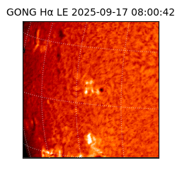 gong - 2025-09-17T08:00:42