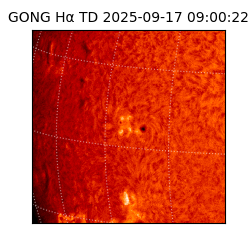 gong - 2025-09-17T09:00:22