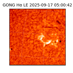 gong - 2025-09-17T05:00:42