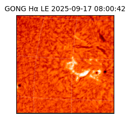 gong - 2025-09-17T08:00:42