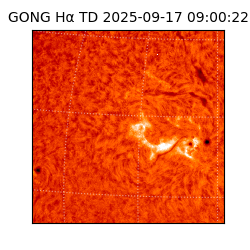 gong - 2025-09-17T09:00:22