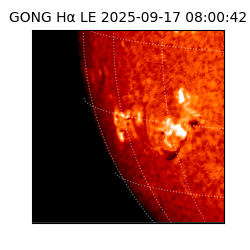 gong - 2025-09-17T08:00:42