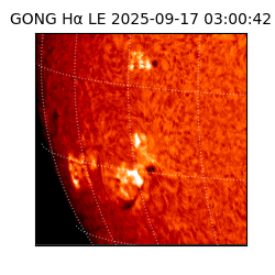 gong - 2025-09-17T03:00:42