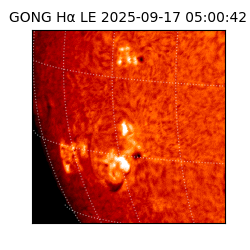 gong - 2025-09-17T05:00:42