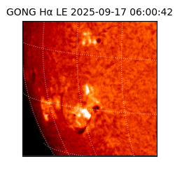 gong - 2025-09-17T06:00:42
