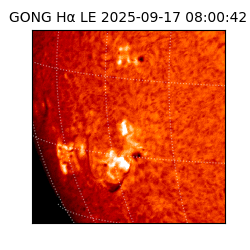 gong - 2025-09-17T08:00:42