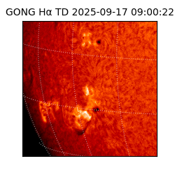 gong - 2025-09-17T09:00:22