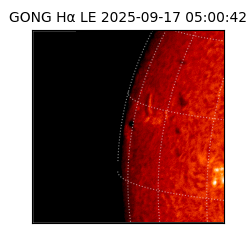gong - 2025-09-17T05:00:42