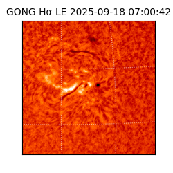 gong - 2025-09-18T07:00:42